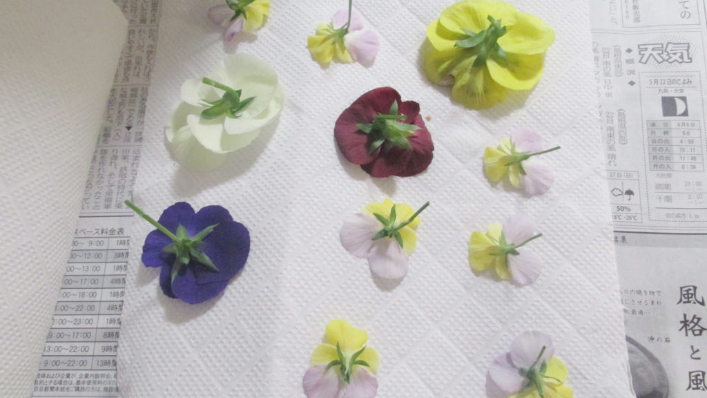 比べてみた 押し花の作り方 色鮮やかで簡単な方法は ハンドメイド無料レシピ 押し花 作り方 ハンドメイドの図書館 ハンドメイド情報サイト